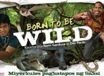 Born To Be Wild May 5 2024